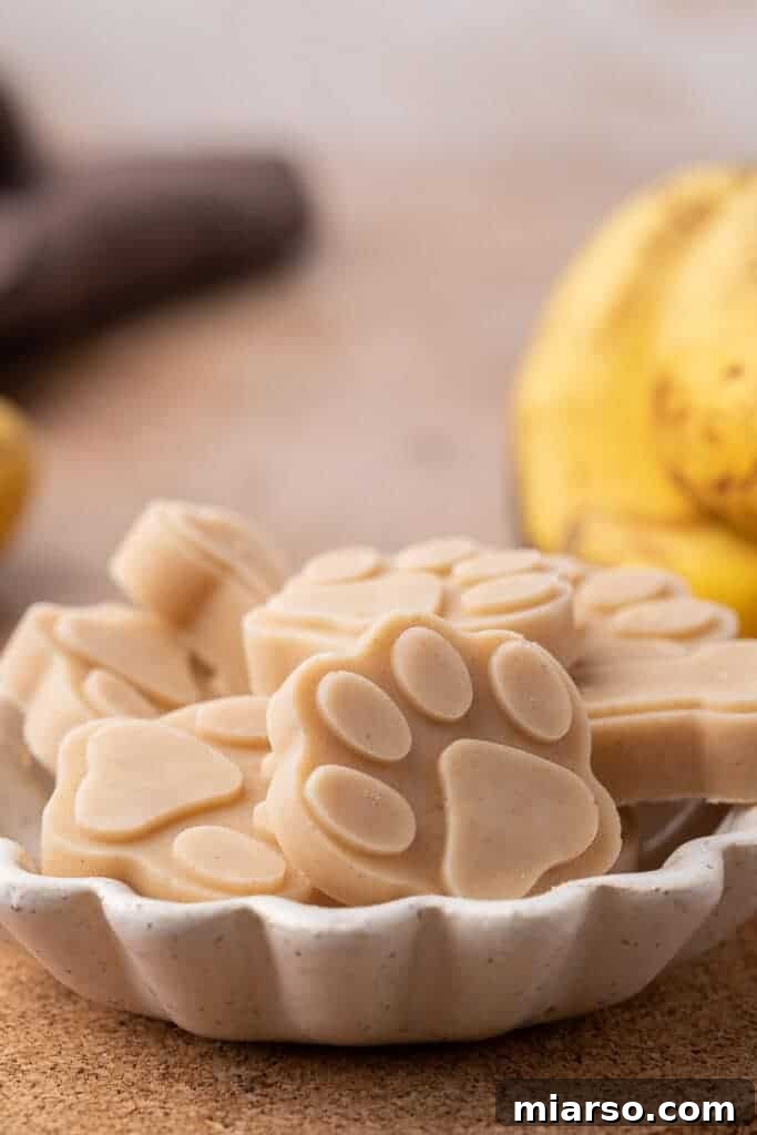 Frosty Peanut Butter Banana Pupsicles 4 Various frozen peanut butter banana dog treats shaped like paws and bones