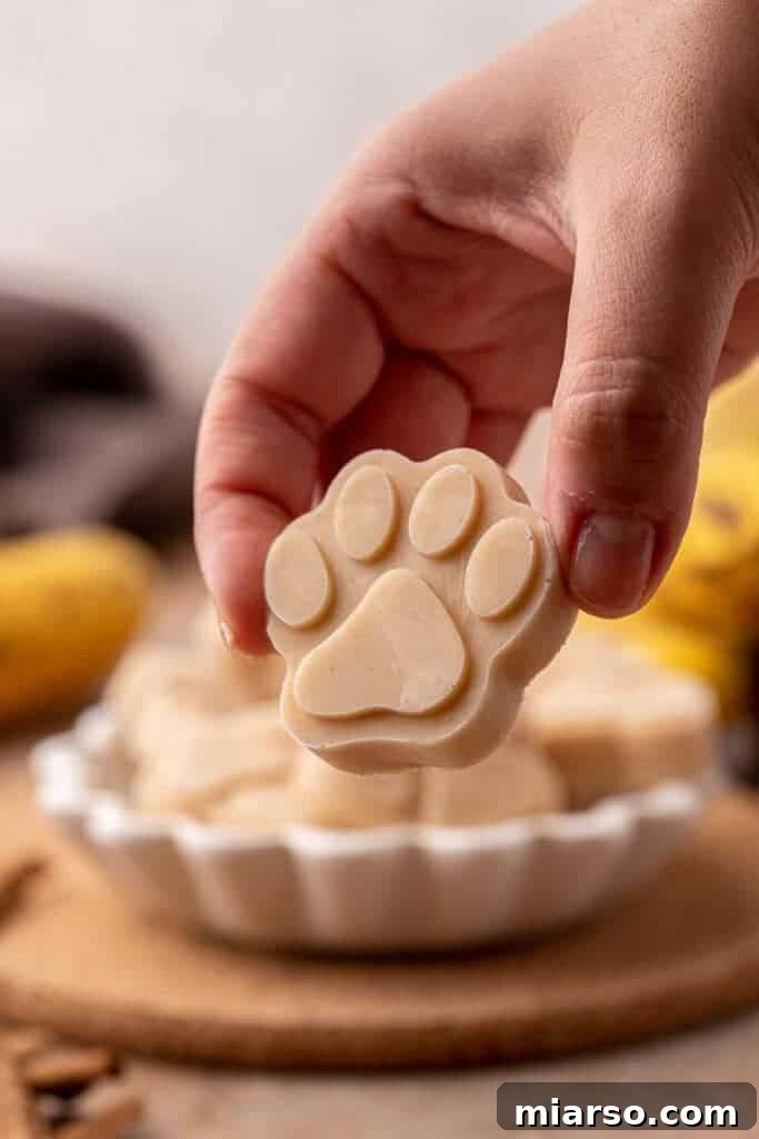 Frosty Peanut Butter Banana Pupsicles 9 A hand holding a homemade frozen peanut butter banana dog treat
