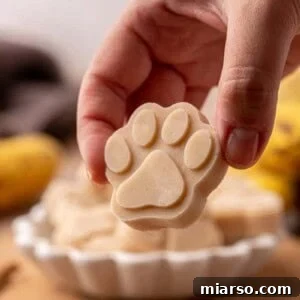 Hand holding a frozen dog treat