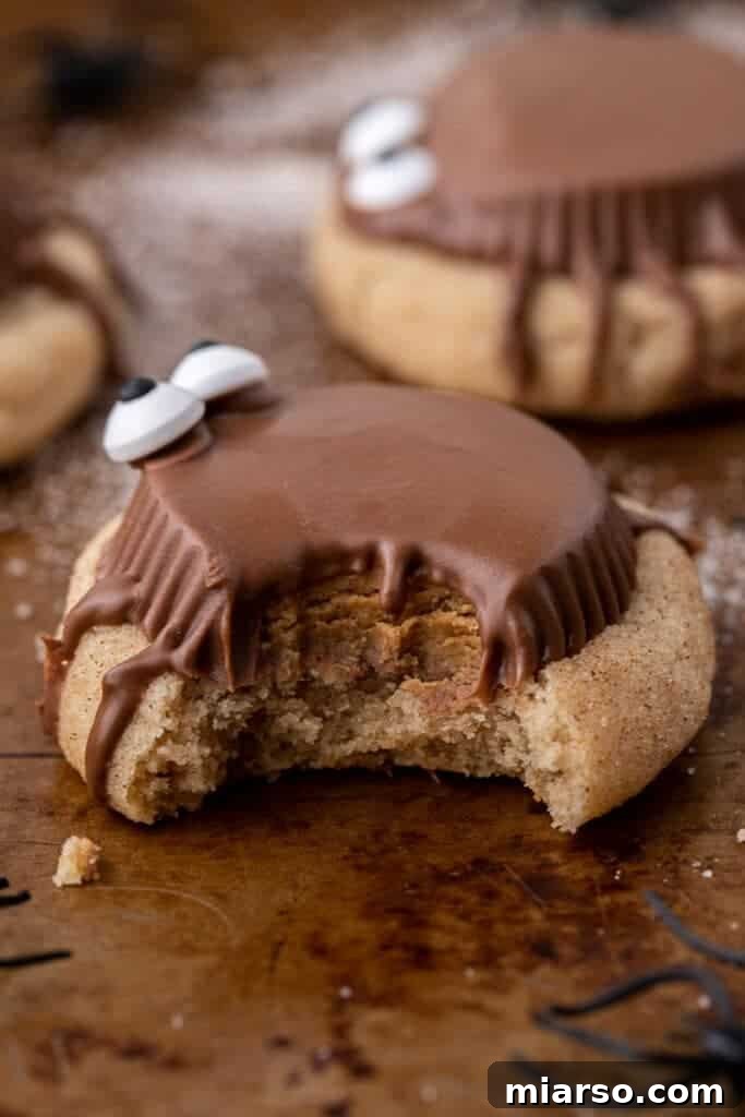 Spider cookie with a bite taken out of it