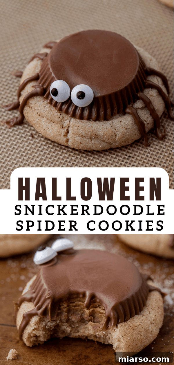 Snickerdoodle Halloween spider cookies on a platter