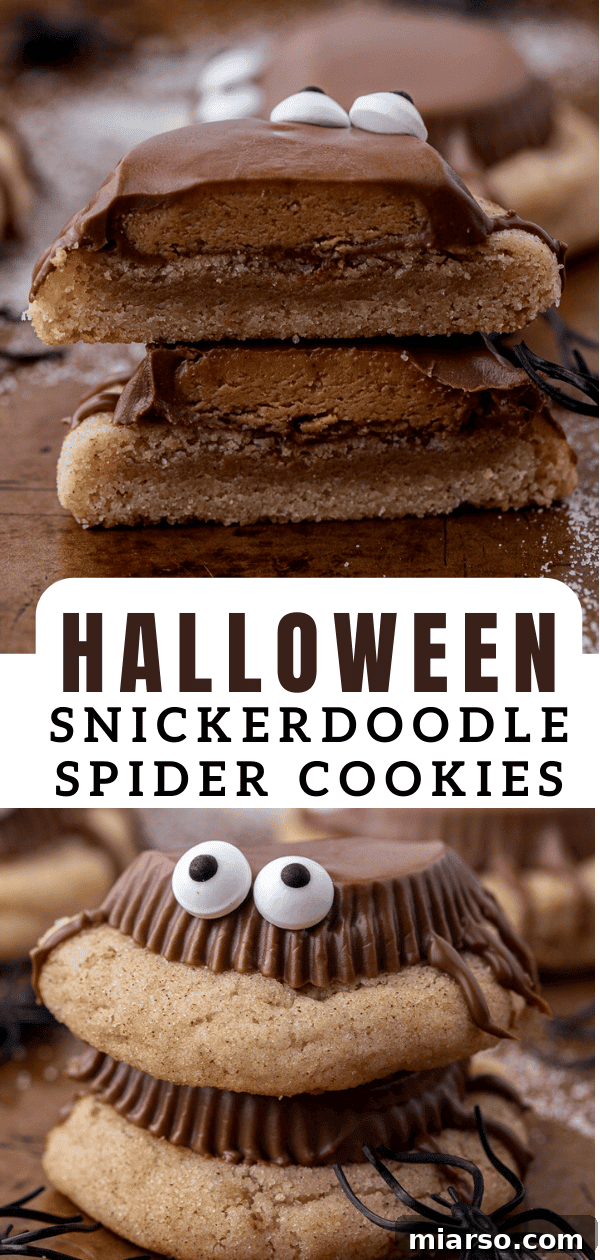 Close-up of Snickerdoodle Halloween spider cookies