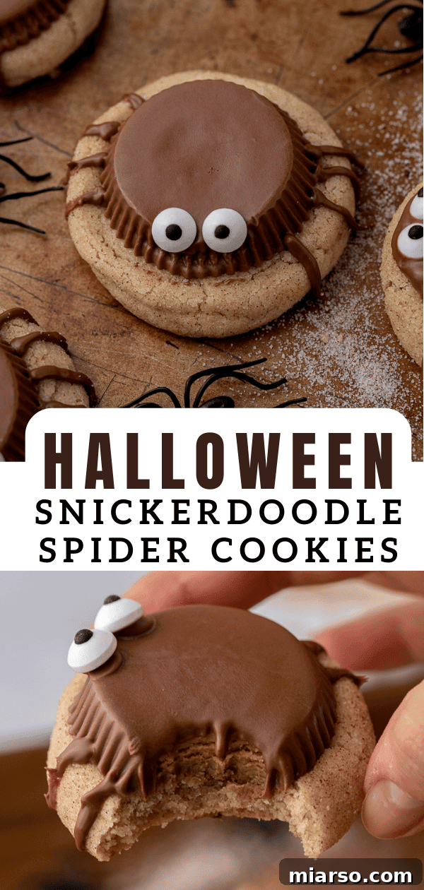 Snickerdoodle Halloween spider cookies arranged for a party