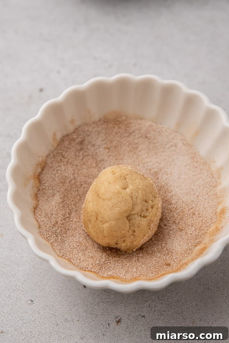 Cookie dough rolled in cinnamon sugar