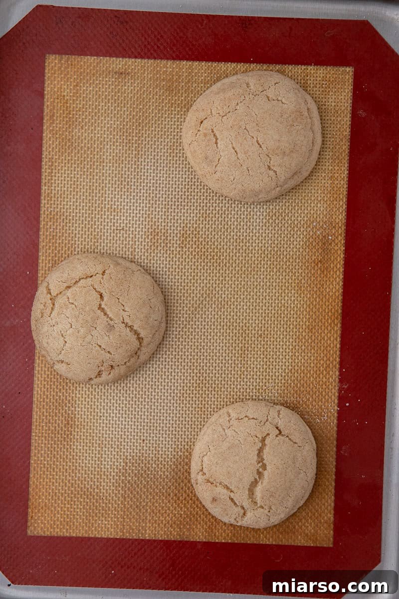 Baked cookies on a baking sheet