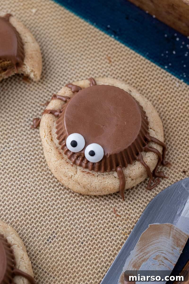 Spooky spider cookies cooling on a baking sheet
