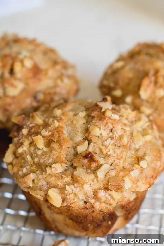 Bakery-Style Banana Walnut Muffins 23 A close-up of a moist banana walnut muffin recipe, showing its delightful texture
