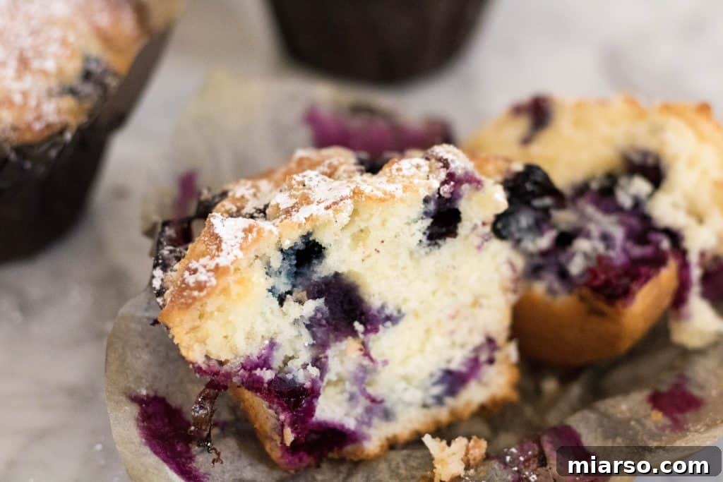 Bakery-Style Banana Walnut Muffins 8 Fluffy blueberry muffins with a golden brown top, freshly baked