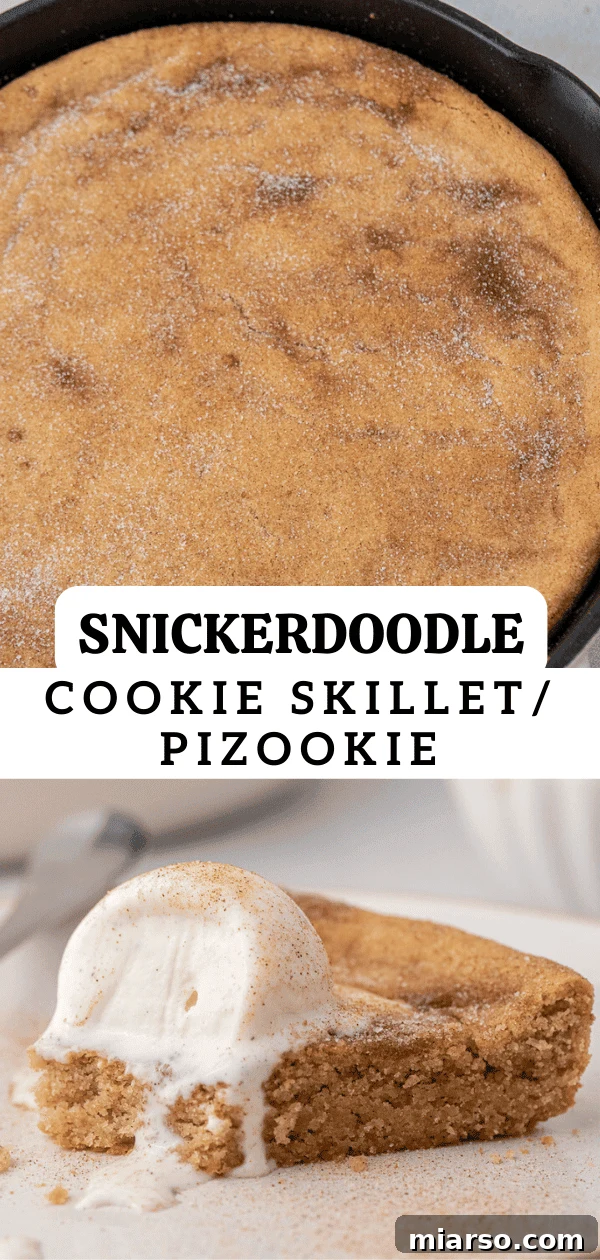 A close-up shot of a Snickerdoodle pizookie, showcasing its soft, chewy texture and glistening cinnamon-sugar topping.