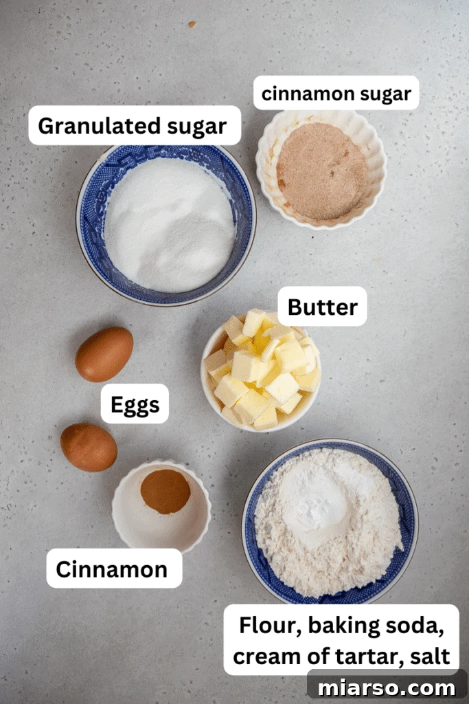A selection of baking ingredients neatly arranged on a white kitchen counter, highlighting freshness and quality for a Snickerdoodle recipe.