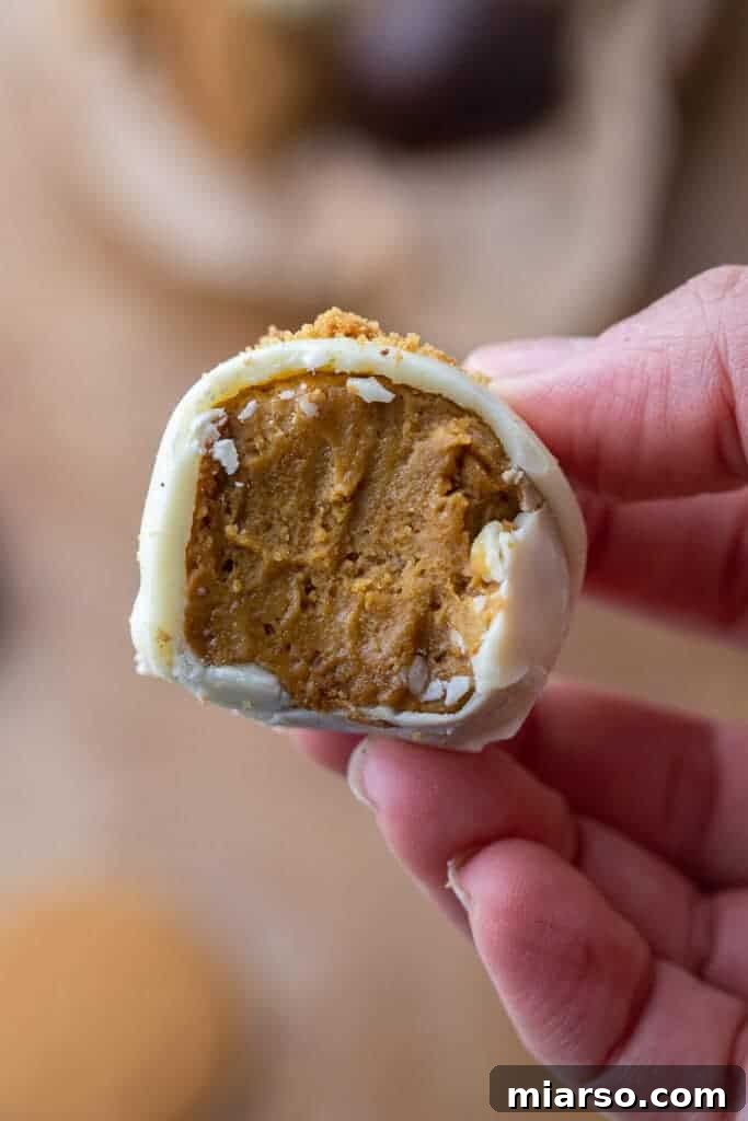 Divine Chocolate Pumpkin Truffle Delights 2 Pumpkin truffle with a bite taken out of it