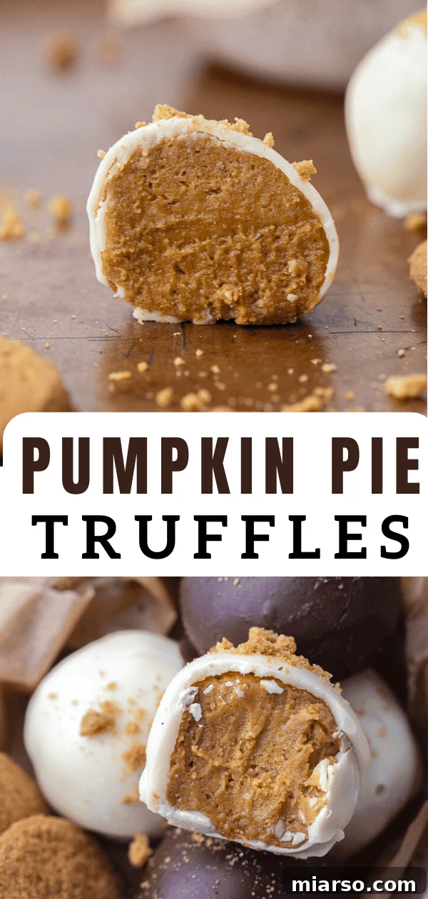 Divine Chocolate Pumpkin Truffle Delights 12 Pumpkin pie truffles arranged on a platter