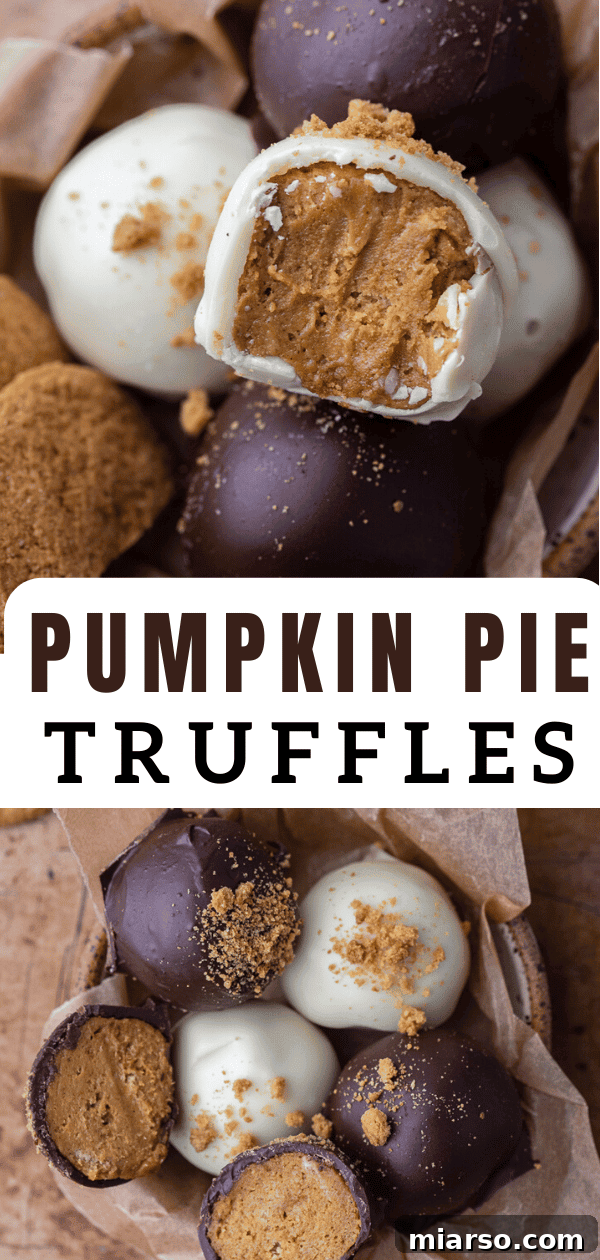Divine Chocolate Pumpkin Truffle Delights 13 Close-up of three pumpkin pie truffles
