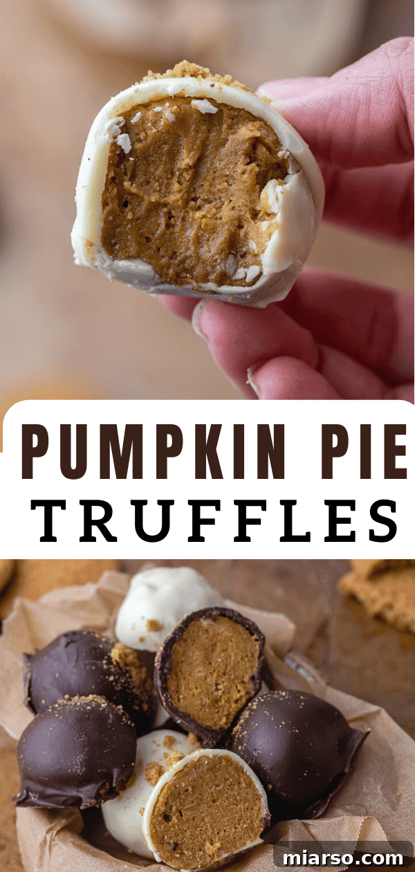 Divine Chocolate Pumpkin Truffle Delights 14 Artfully arranged pumpkin pie truffles with autumn leaves