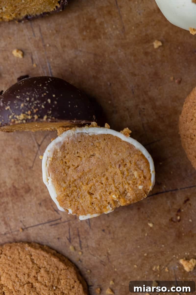 Divine Chocolate Pumpkin Truffle Delights 8 Decorating pumpkin pie truffles with cookie crumbs