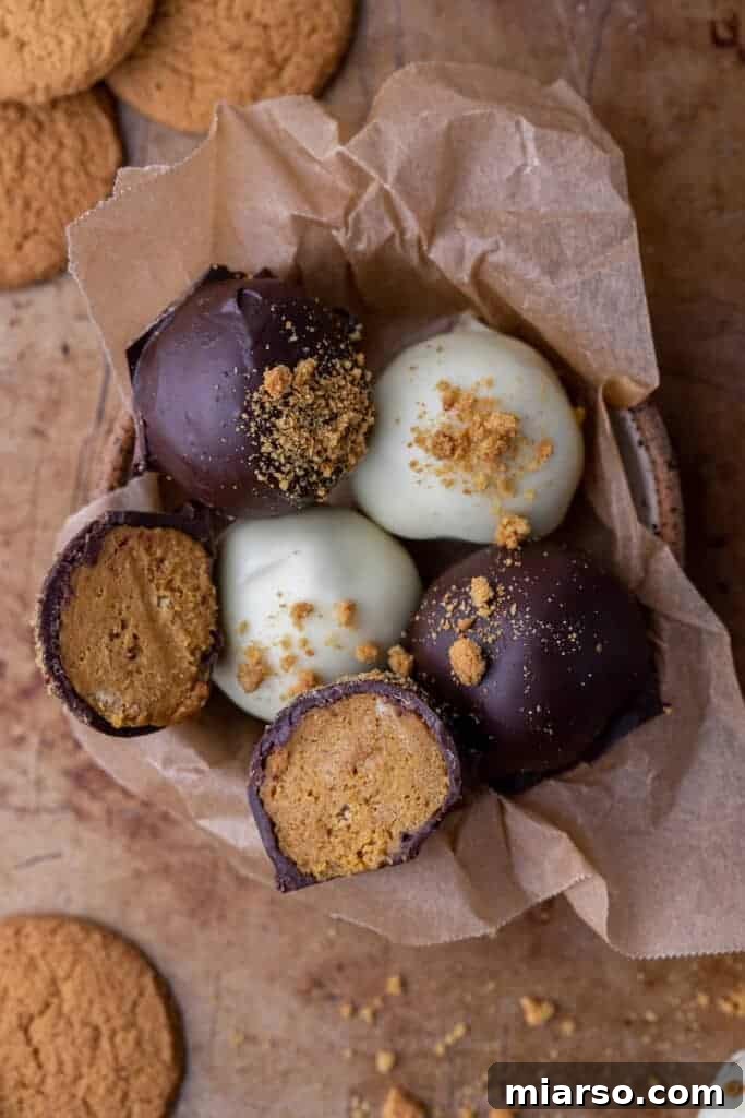 Divine Chocolate Pumpkin Truffle Delights 9 Overhead shot of pumpkin truffles arranged beautifully