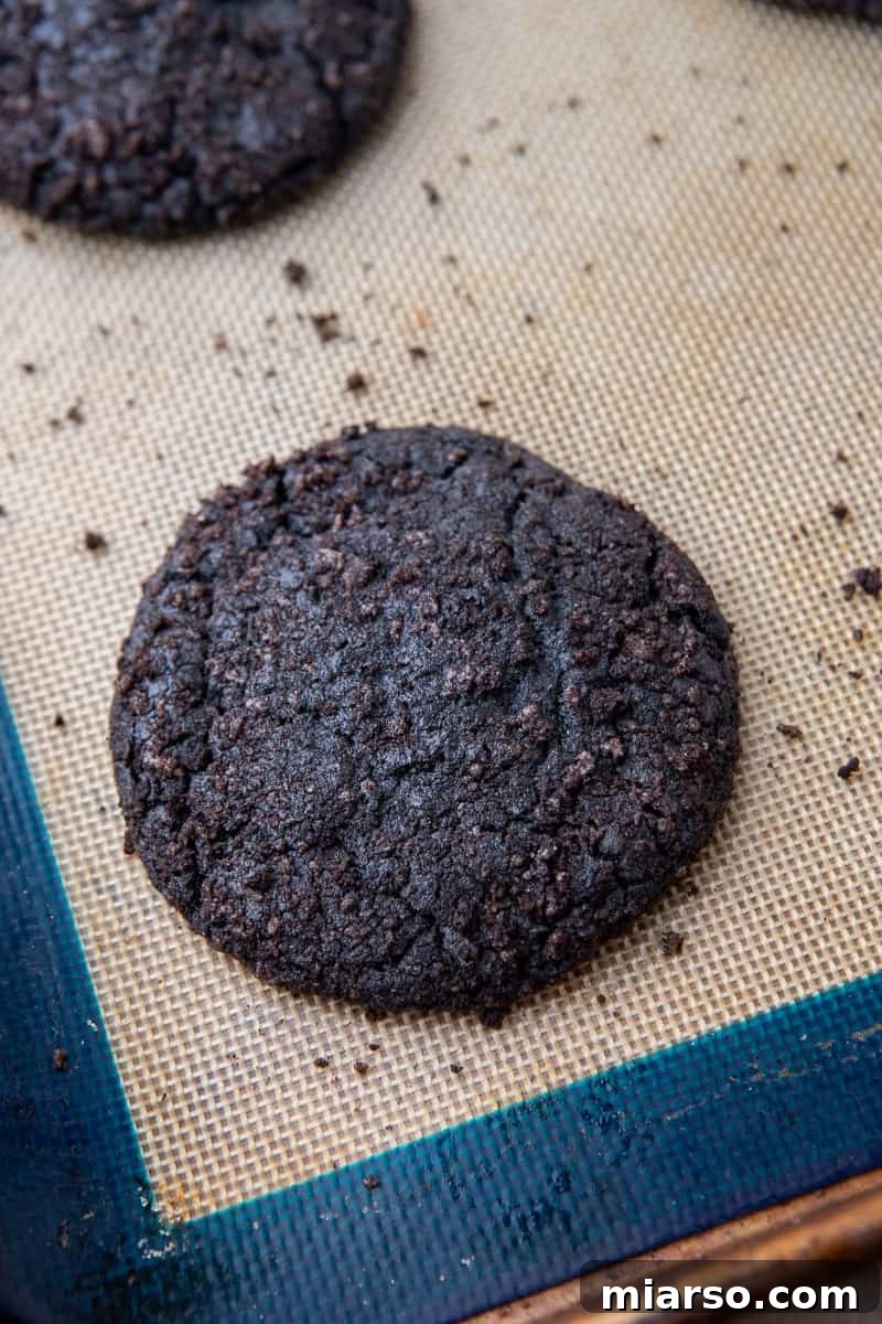 Decadent Crumbl Chocolate Pumpkin Cheesecake Cookies 11 Baked black cocoa cookies cooling on a rack