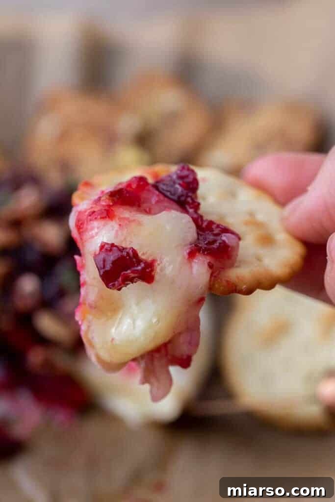 Gooey Baked Brie Served on a Cracker