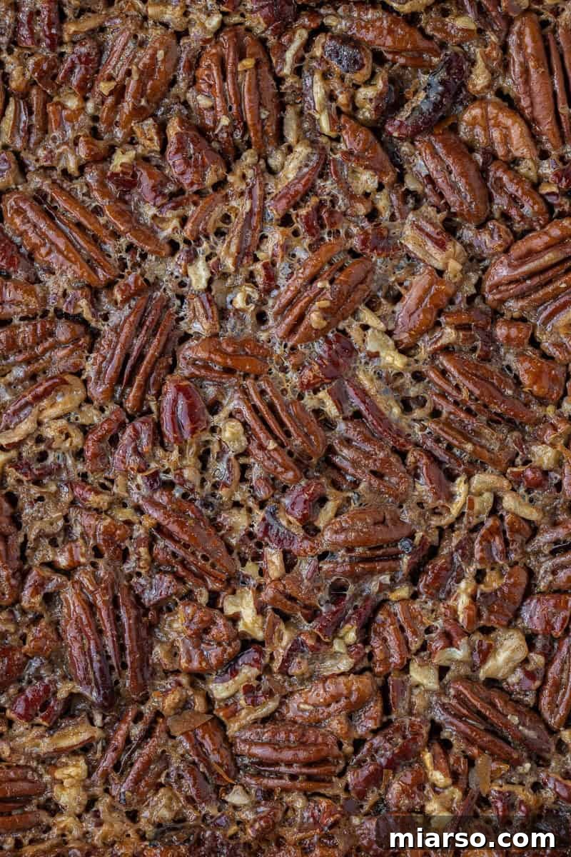 Freshly baked pecan pie bars cooling in the pan, golden and inviting.