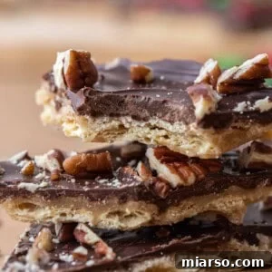 Close up of Christmas crack with pecans