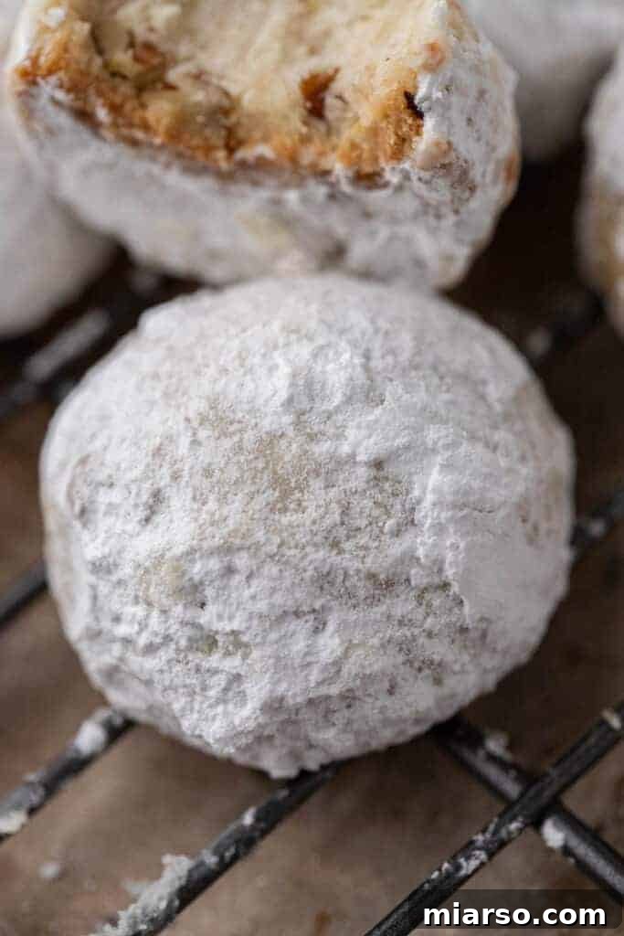Melt-in-Your-Mouth Snowball Perfection 12 Close-up of a perfectly coated snowball cookie, highlighting its delicate texture and powdered sugar dusting.