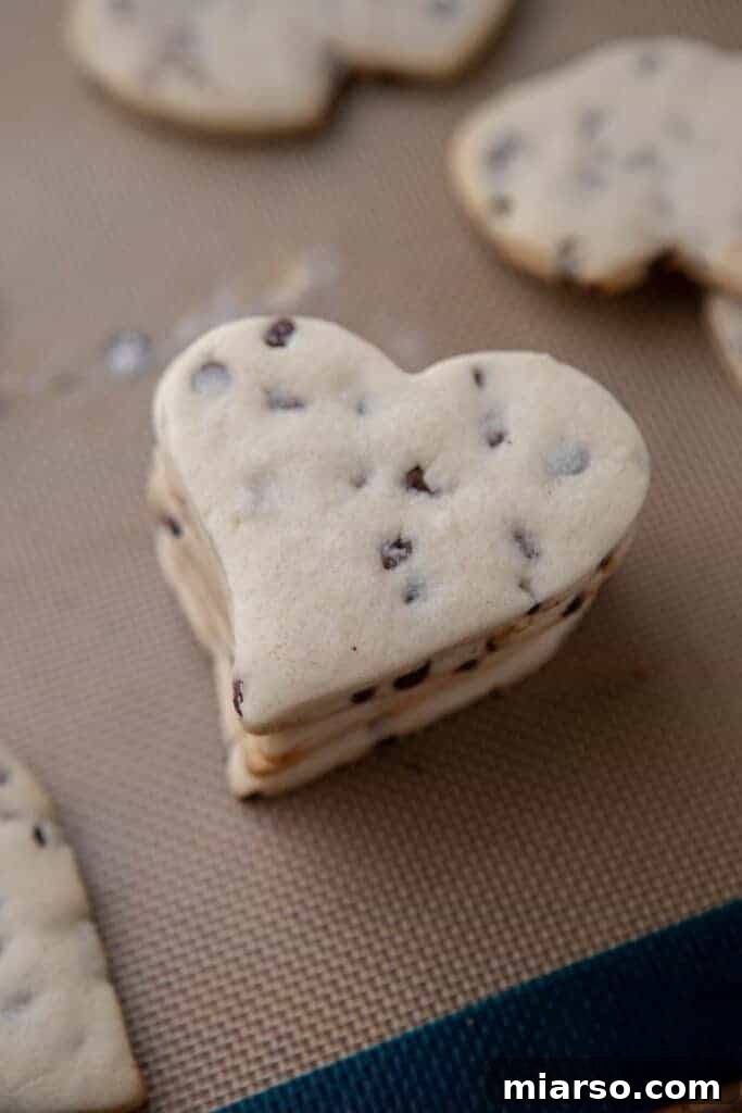 Ultimate Chocolate Chip Cut-Out Cookies 2 Chocolate chip cut out cookies