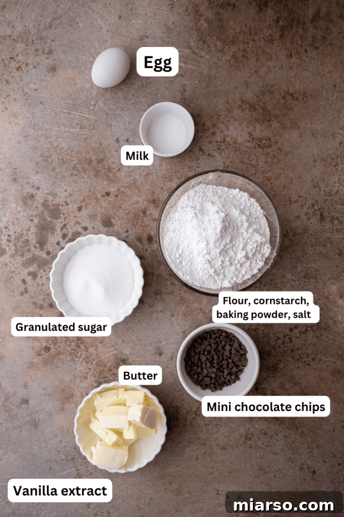 Ultimate Chocolate Chip Cut-Out Cookies 3 Ingredients on the counter
