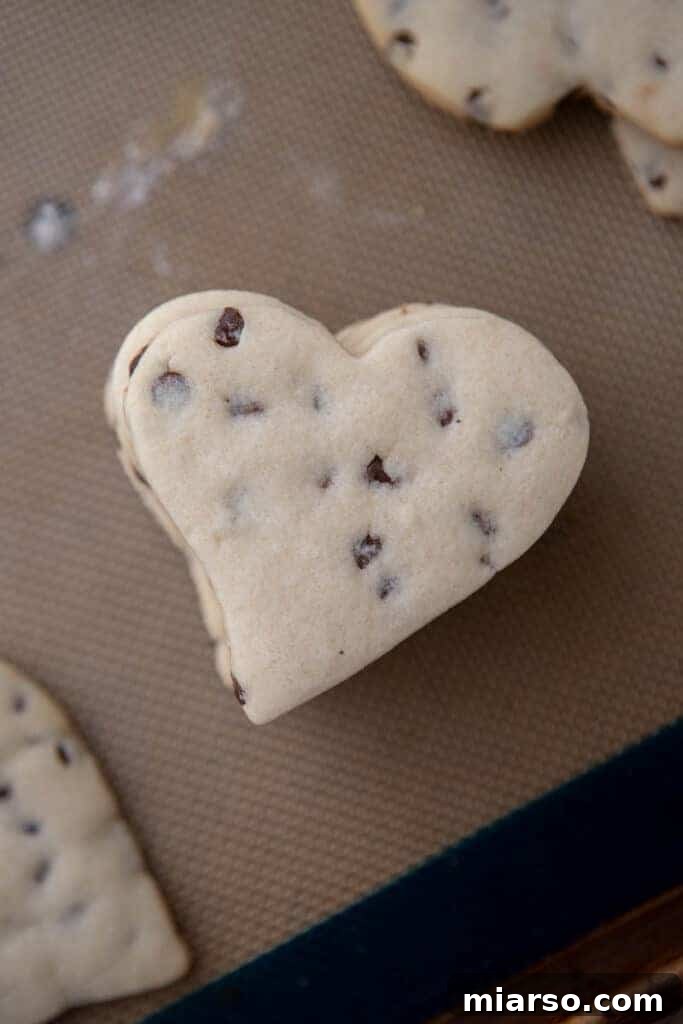Ultimate Chocolate Chip Cut-Out Cookies 8 Easy chocolate chip cut out cookies