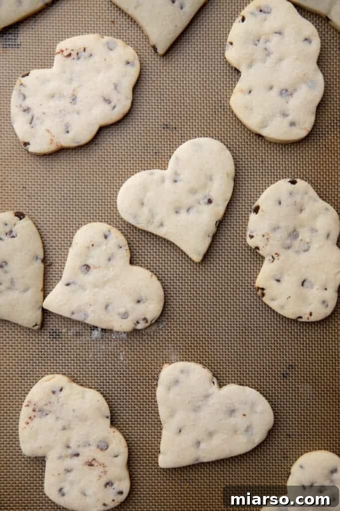 Ultimate Chocolate Chip Cut-Out Cookies 9 Baked chocolate chip cut out cookies