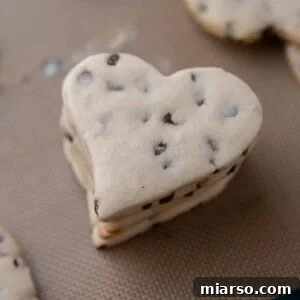 Chocolate chip cut out cookies