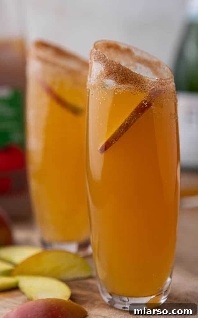Sparkling 5-Minute Apple Cider Mimosas 2 Apple cider mimosas, garnished with apple slices and cinnamon sticks, with a cinnamon sugar rim.