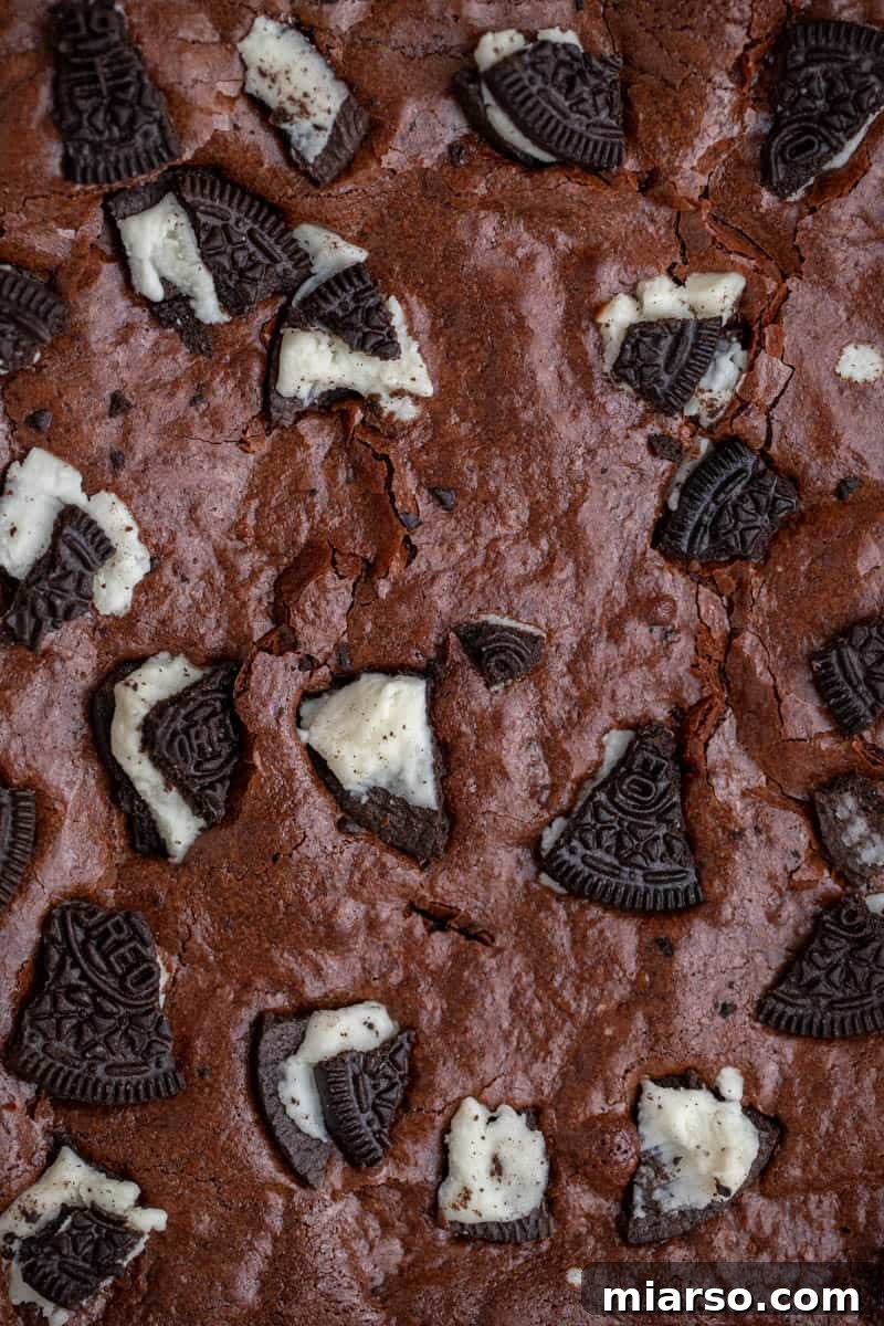 Decadent Oreo Fudge Brownies 10 Close-up of the perfectly crinkly top on baked Oreo brownies, a sign of fudgy perfection.