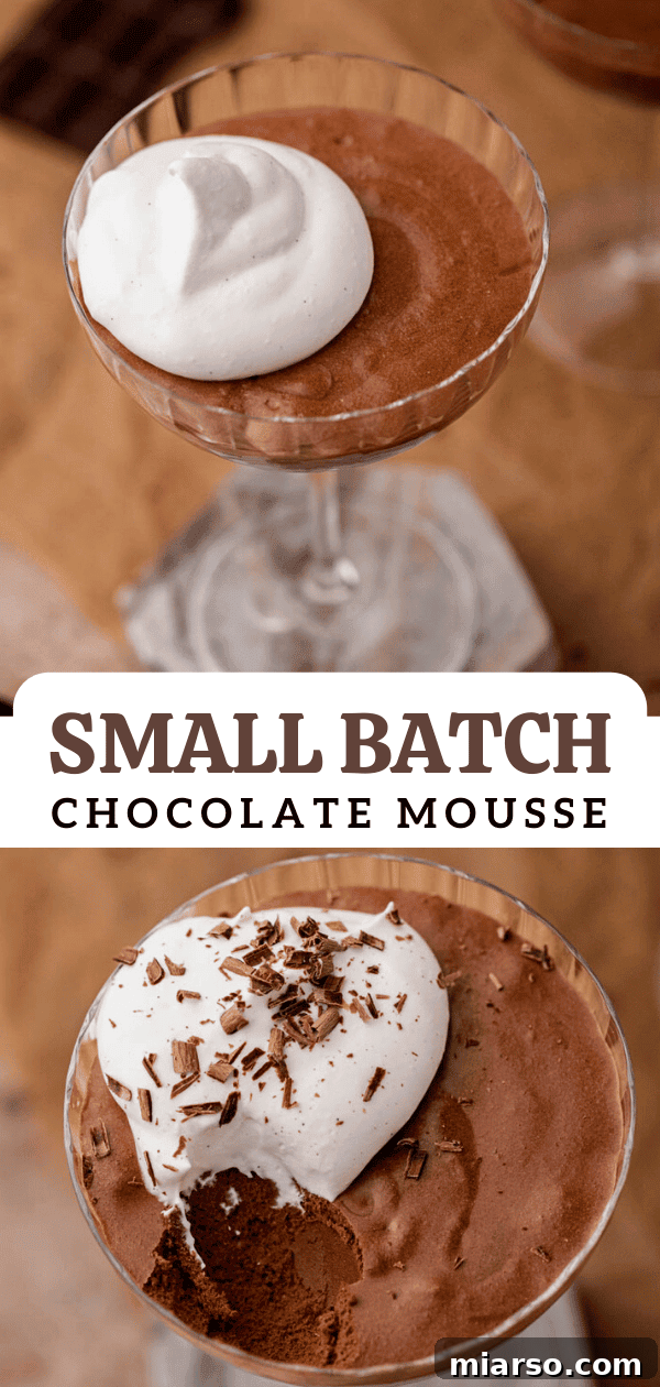 Top view of small batch chocolate mousse, highlighting its smooth texture
