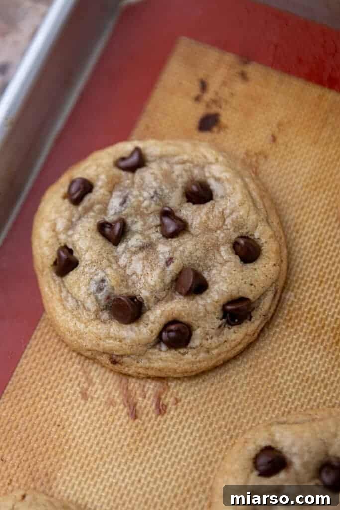 Cross-section of a chocolate stuffed chocolate chip cookie with molten chocolate