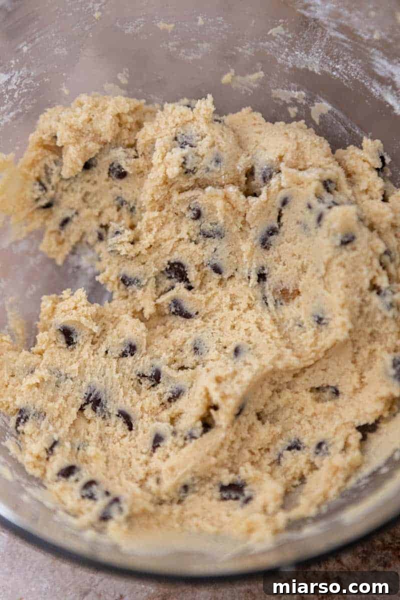 Chocolate chip cookie dough ready for stuffing