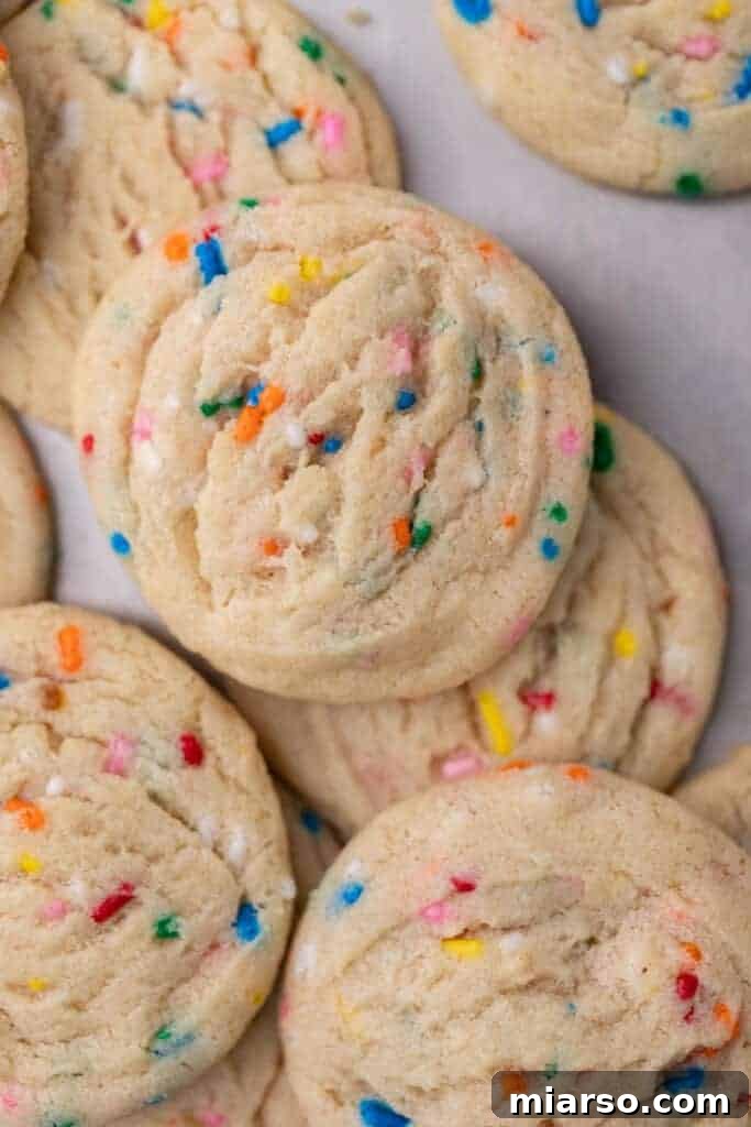 Irresistible Sprinkle Sugar Cookies 2 Delicious sprinkle sugar cookies on baking sheet