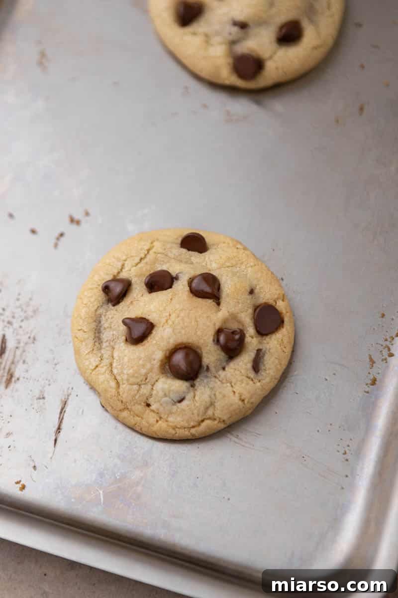 Quick Reese Peanut Butter Cup Chocolate Chip Cookies 10 Baked Reese's stuffed chocolate chip cookies cooling on a baking sheet.