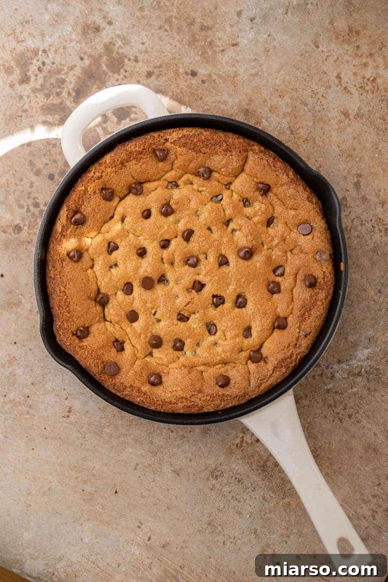 Gooey Skillet Chocolate Chip Pizookie 8 A freshly baked giant chocolate chip cookie in a cast iron pan, with golden-brown edges and a soft, gooey center.