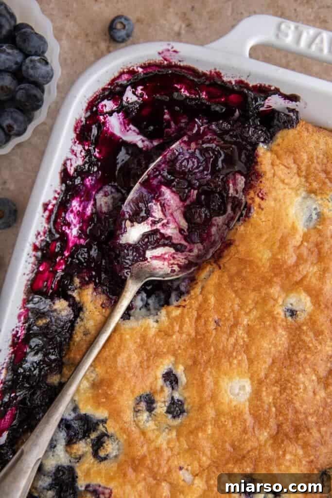 Irresistible Homemade Blueberry Cobbler 2 A close-up view of golden-brown blueberry cobbler casserole, bubbling with juicy blueberries from the oven.