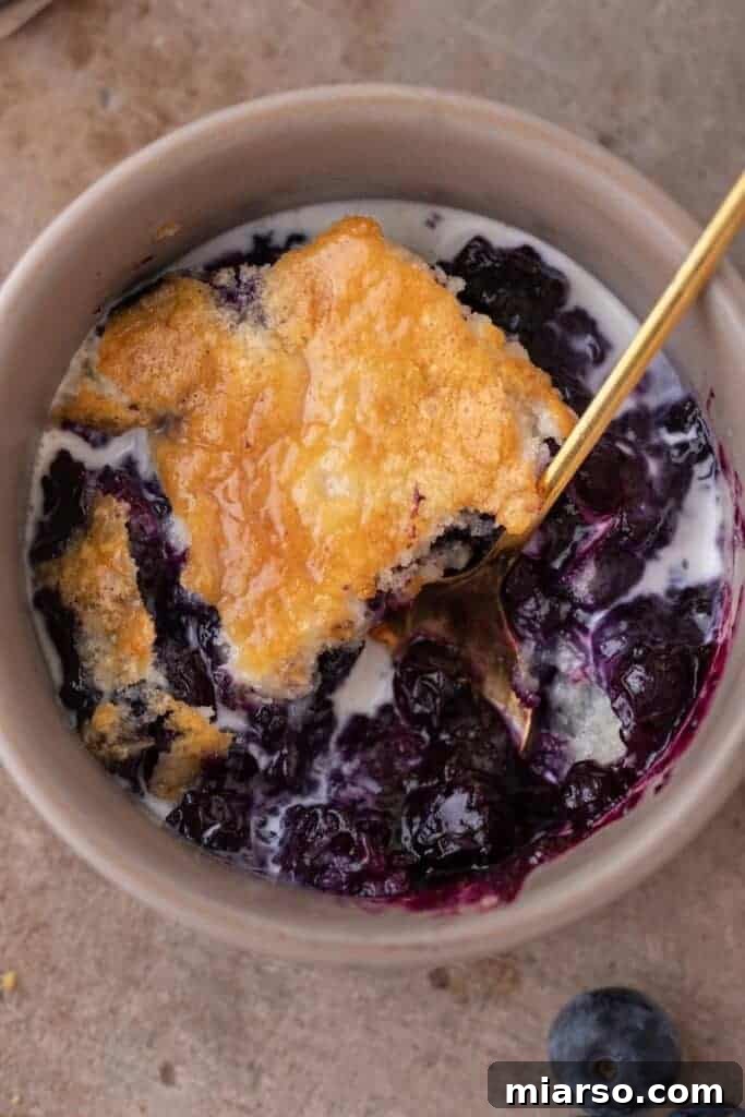 Irresistible Homemade Blueberry Cobbler 11 An overhead shot of a fresh blueberry cobbler in a bowl, showing the warm, fruity filling and golden topping, ready to be enjoyed.