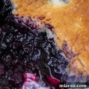 Blueberry cobbler recipe, showcasing a delicious warm dessert with a golden crust.