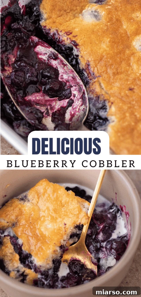 Irresistible Homemade Blueberry Cobbler 14 How to make blueberry cobbler - A vertical pin-friendly image showing the completed dessert.