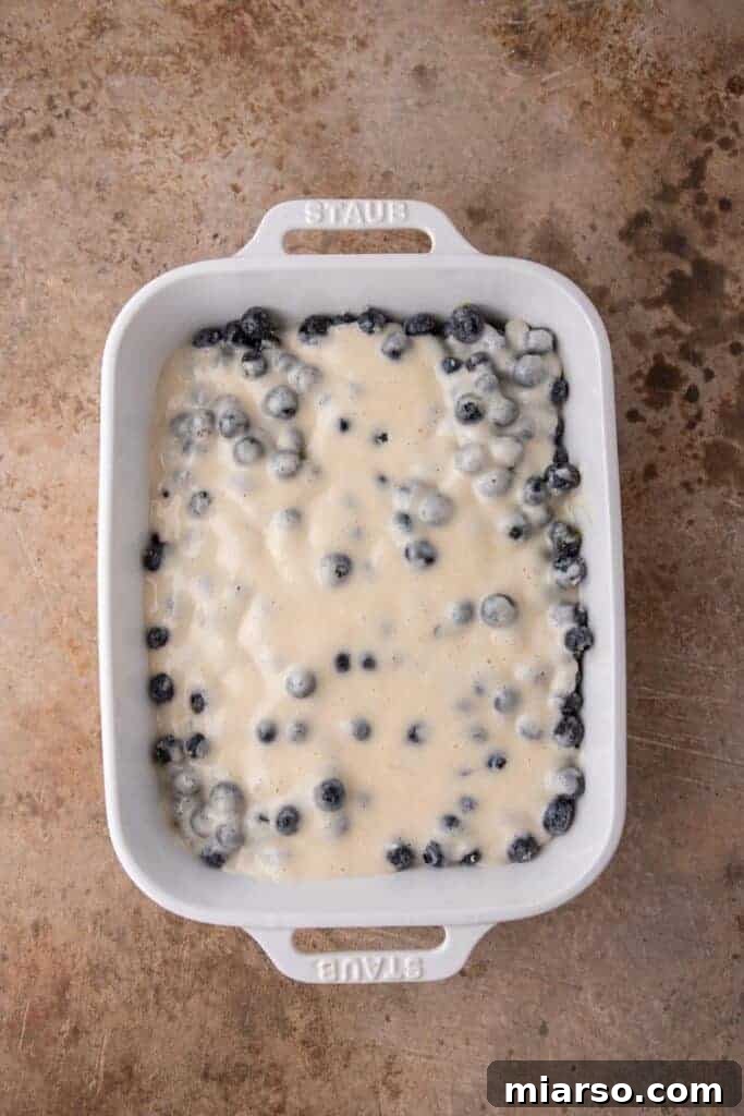 Irresistible Homemade Blueberry Cobbler 7 Blueberry mixture and batter assembled in a baking pan, ready for the oven.