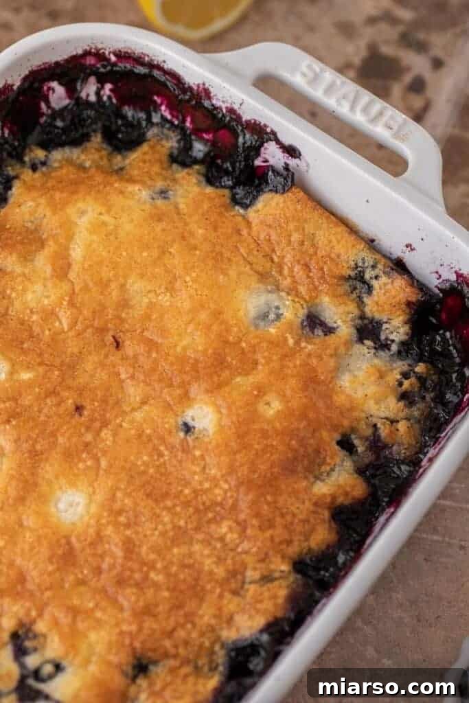 Irresistible Homemade Blueberry Cobbler 8 A freshly baked blueberry cobbler, golden brown and bubbling, hot out of the oven.