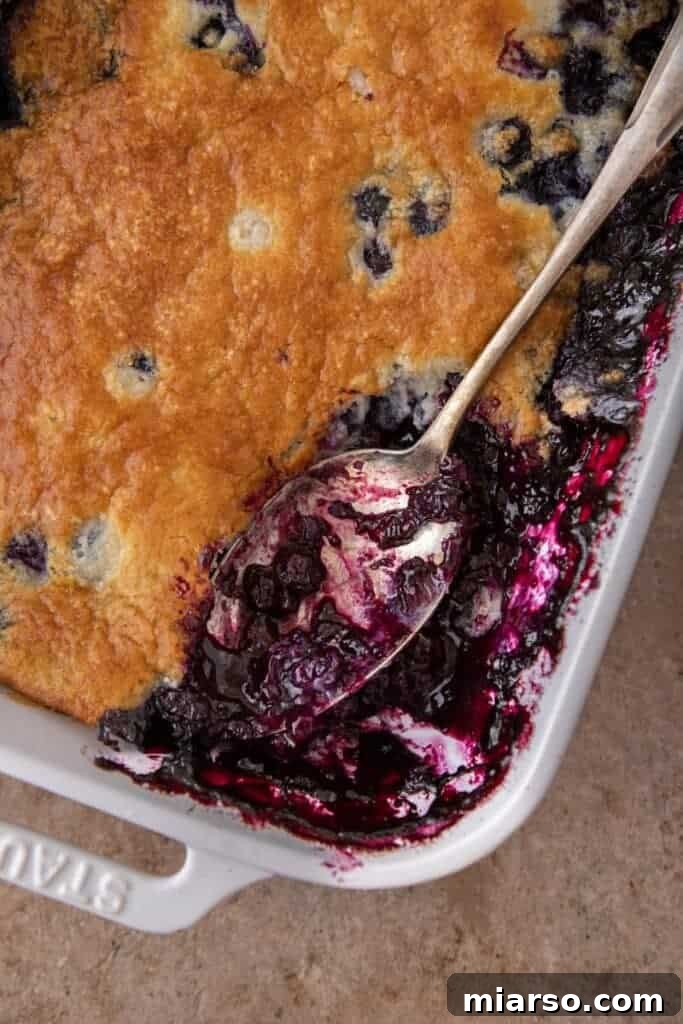Irresistible Homemade Blueberry Cobbler 9 Another angle of the delicious golden-brown blueberry cobbler fresh from the oven, showing its rustic topping.
