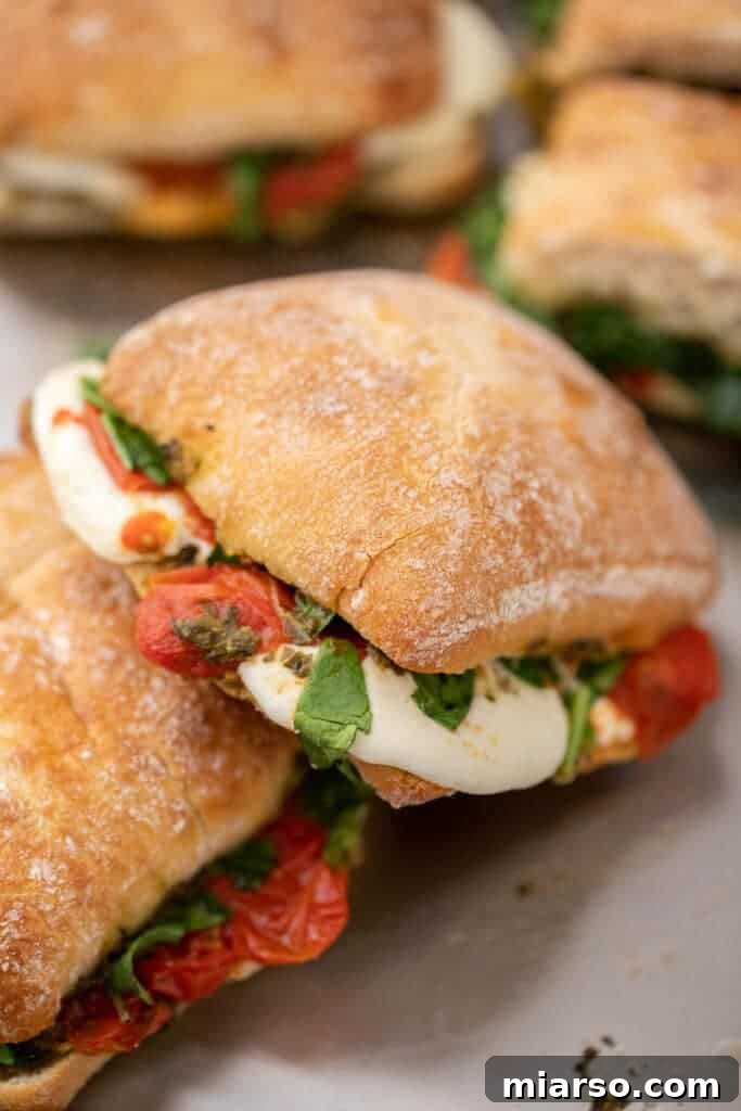 Starbucks roasted tomato mozzarella panini