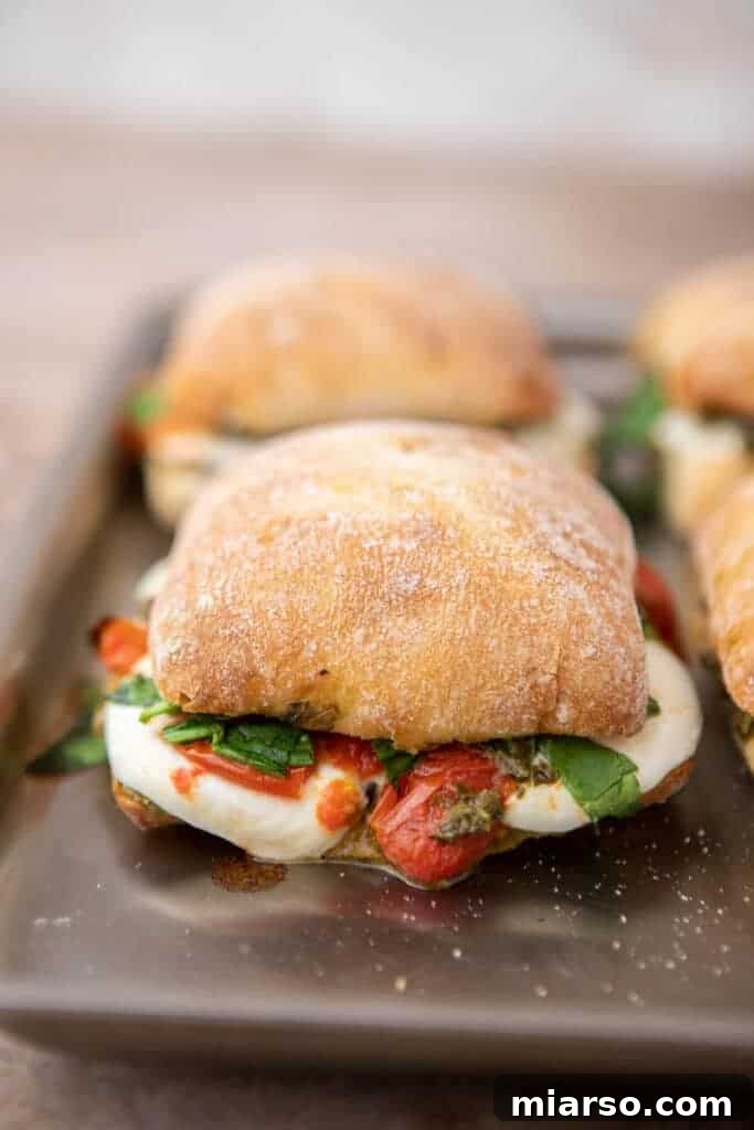 Close up of starbucks mozzarella panini 