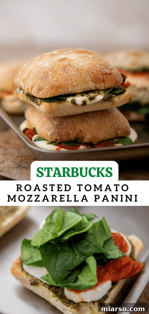 Starbucks roasted tomato mozzarella panini