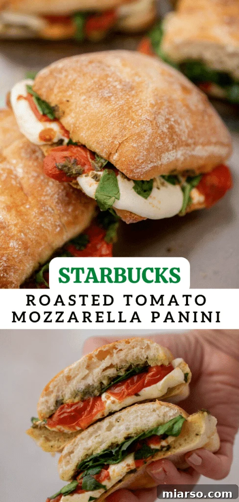 Starbucks roasted tomato mozzarella panini