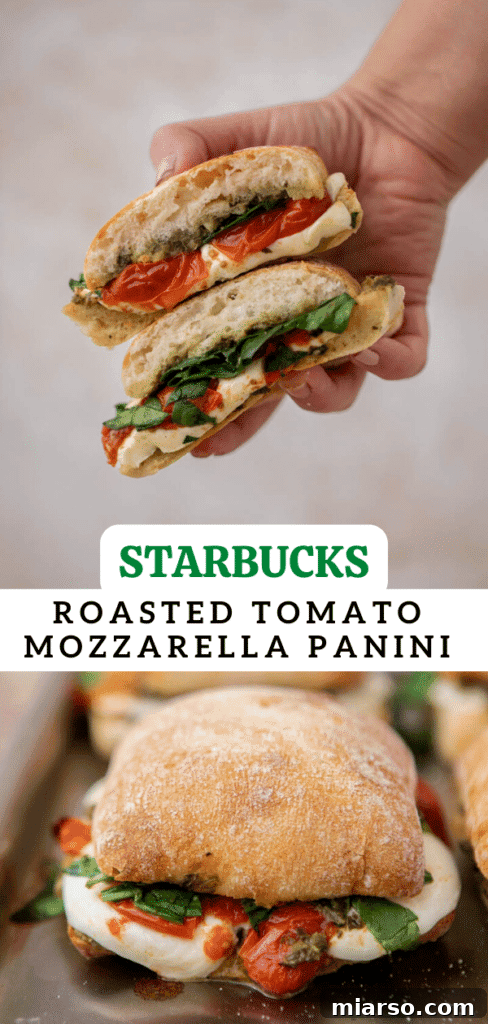 Starbucks roasted tomato mozzarella panini